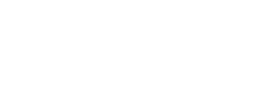 Logo IFC Steel